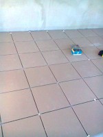 /album/komuves-ferko/nokia-foto0577-jpg/